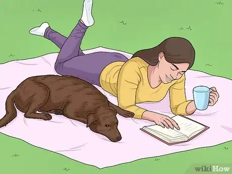 Image titled Hang Out with Your Dog Step 3