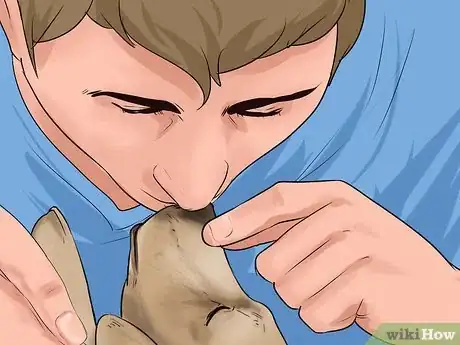 Image titled Give First Aid to an Electrocuted Animal Step 4