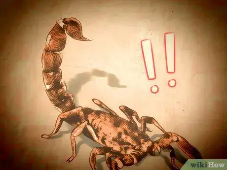 Image titled Identify an Emperor Scorpion Step 13