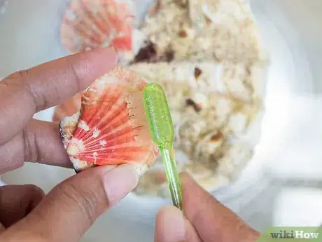 Image titled Clean and Polish Seashells Step 10