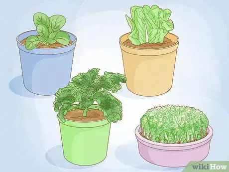 Image titled Grow Vegetables Indoors Step 7