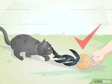 Image titled Buy Pet Training Supplies Step 13