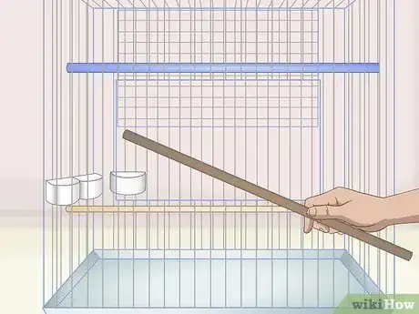 Image titled Own a Parakeet Step 6