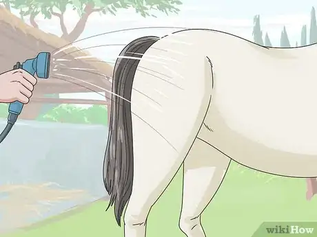 Image titled Clean a Horse Step 10