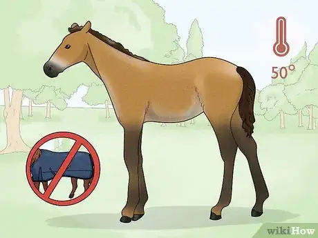 Image titled Take off a Horse Blanket Step 9