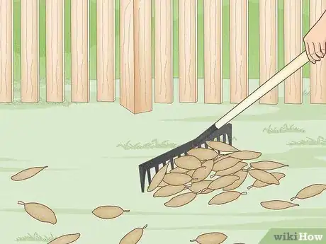 Image titled Keep Spiders Away Step 1