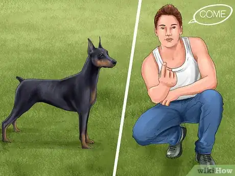 Image titled Train a Manchester Terrier Step 6