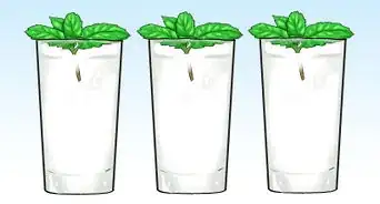 Grow Mint in a Pot