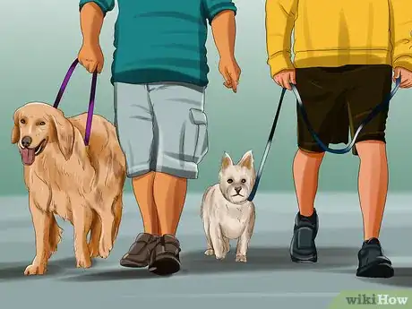 Image titled Introduce a Puppy to a Dog Step 11