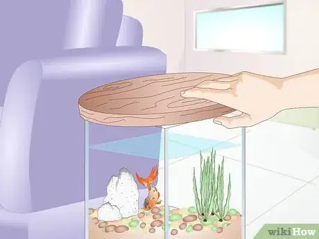 Image titled Creatively Decorate a Freshwater Fish Tank Step 2