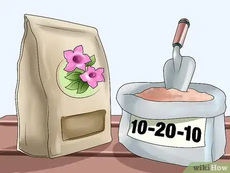 Image titled Grow Clematis in Pots Step 17