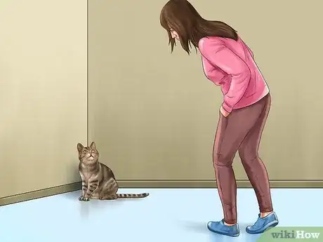 Image titled Act When Meeting a Strange Cat Step 5