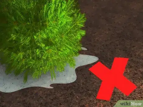 Image titled Plant Juniper Step 14