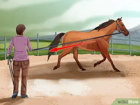 Image titled Round Pen a Horse Step 8