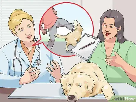 Image titled Have a Successful First Day with a New Dog Step 3