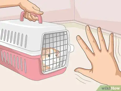 Image titled Run a Guinea Pig Rescue Step 12