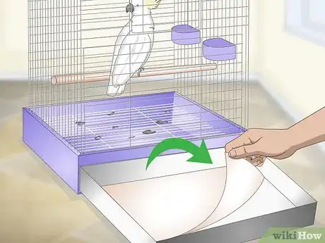 Image titled Clean a Cockatoo Cage Step 1