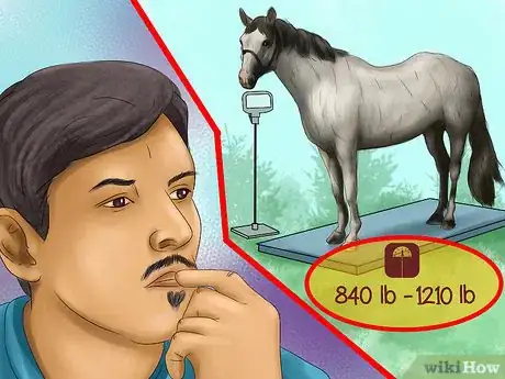 Image titled Feed a Horse Magnesium Step 1