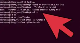 Install Bin Files in Linux