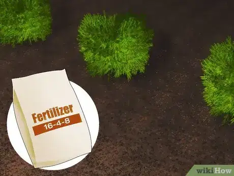 Image titled Plant Juniper Step 15