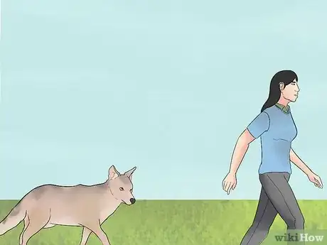 Image titled Deter Coyotes Step 12