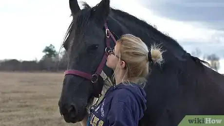 Image titled Teach a Horse to Kiss Step 11