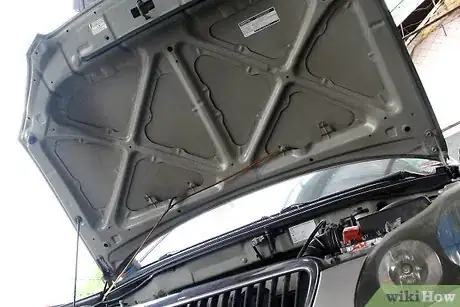 Image titled 4999818 13.JPG