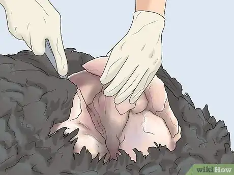 Image titled Dress a Turkey Step 9