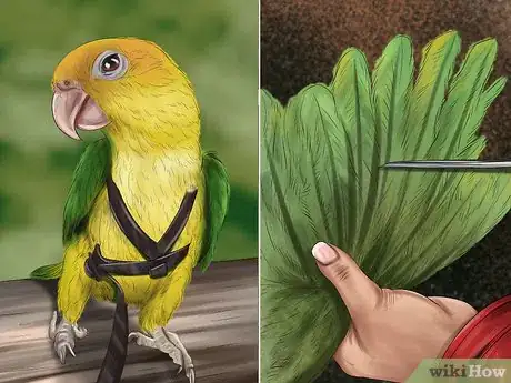 Image titled Pack and Move Your Bird Step 16