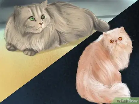 Image titled Prevent Heatstroke in Cats Step 5