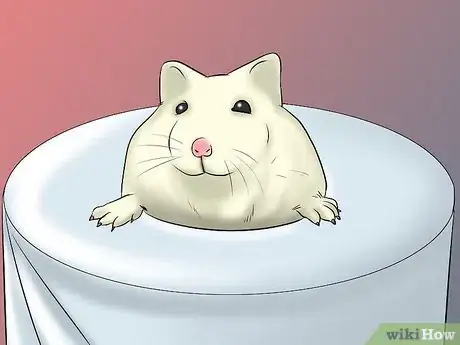 Image titled Have a Good Time With Your Hamster Step 1