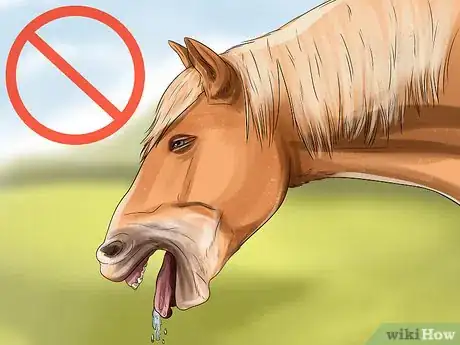 Image titled Round Pen a Horse Step 5