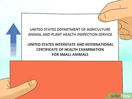 Image titled Fly with Pets Step 15