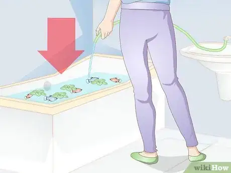 Image titled Creatively Decorate a Freshwater Fish Tank Step 4