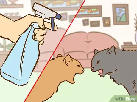 Image titled Referee Two Irritable Cats That Don't Get Along Step 5