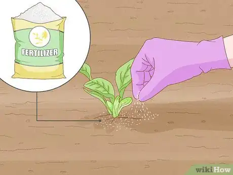 Image titled Start a Garden Step 8