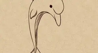 Draw a Dolphin
