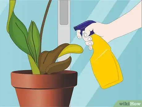 Image titled Care for Orchids Step 14