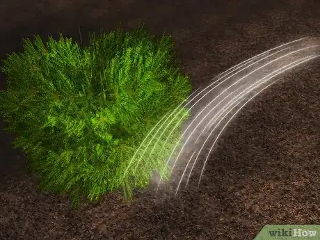 Image titled Plant Juniper Step 13