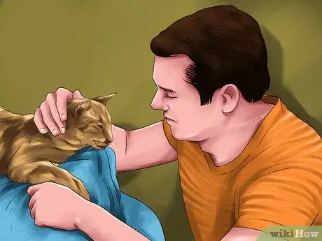 Image titled Treat Keratitis in Cats Step 9