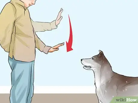 Image titled Modify Tricks Based on an Old Dog's Physical Limitations Step 4