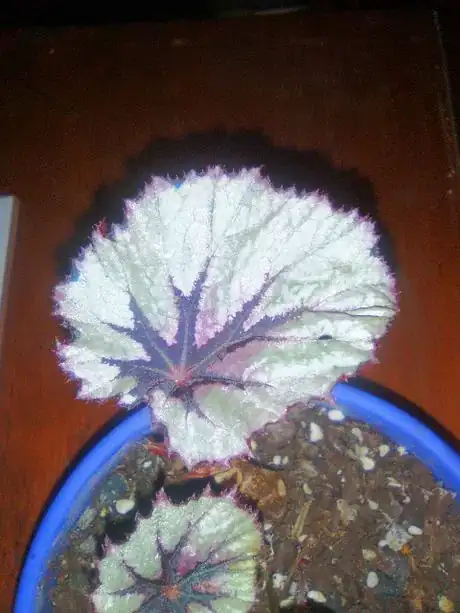 Image titled IMG_20160613_180020 1