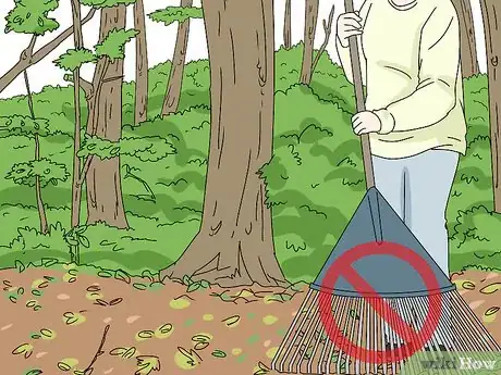 Image titled Feed Wildlife in the Autumn Step 4