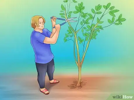 Image titled Grow Chestnut Trees Step 17