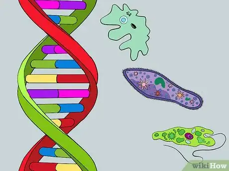 Image titled Explain or Defend Theism Step 3