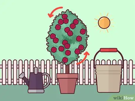 Image titled Prune Tree Roses Step 15