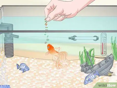 Image titled Build a Freshwater Predator Fish Aquarium Step 17