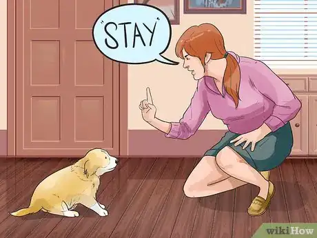 Image titled Put on a Puppy Harness Step 2