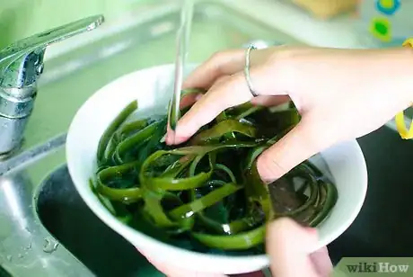 Image titled Make Seaweed Tea Liquid Fertiliser Step 2