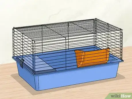 Image titled Keep Your Guinea Pigs Healthy Step 6